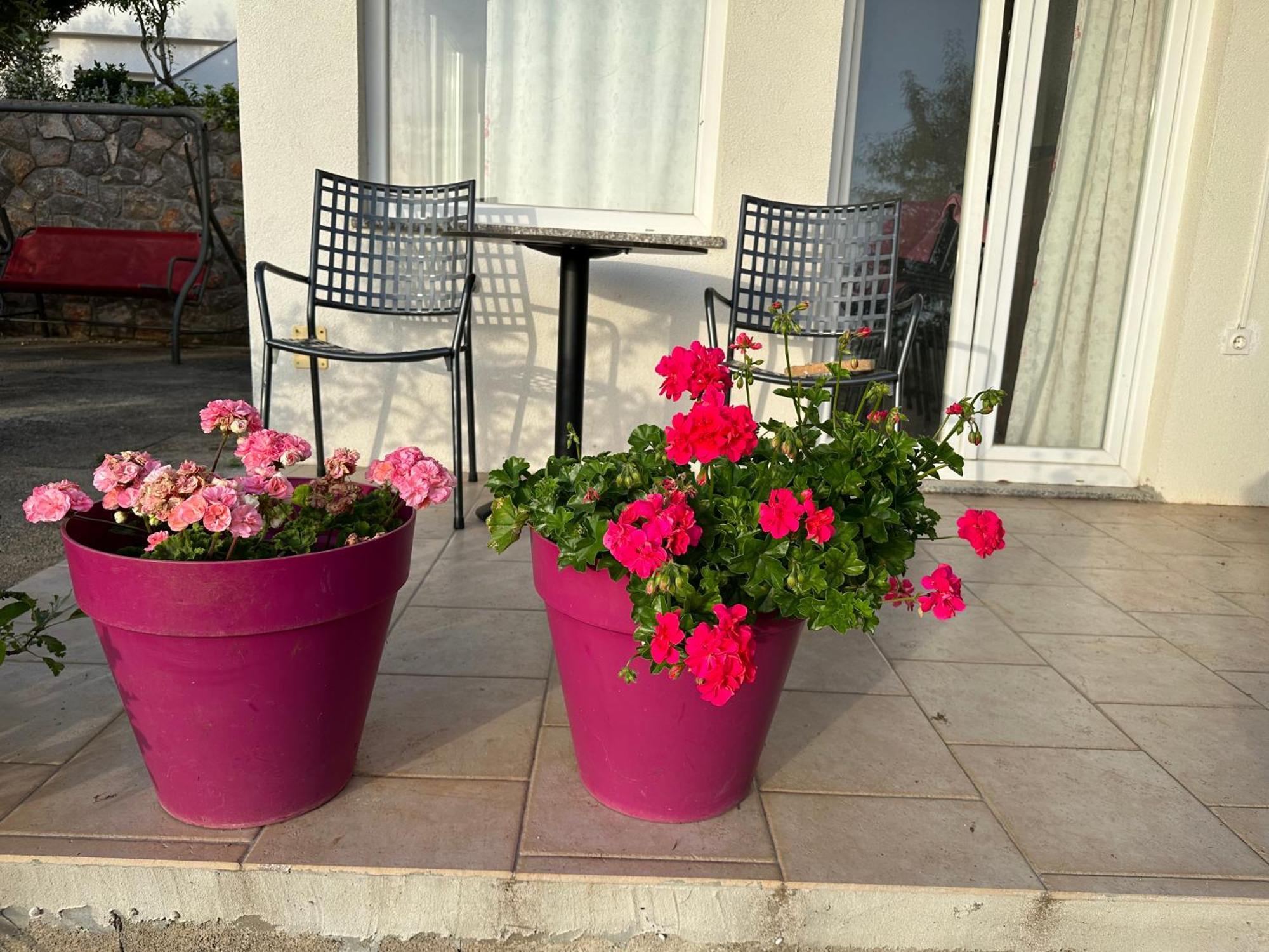 Villa Beba - Apartments Senj  Exteriér fotografie